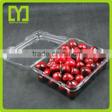 China Factory Promotion Clear Good Quality Cheap Fruit Blister Packaging photo-5