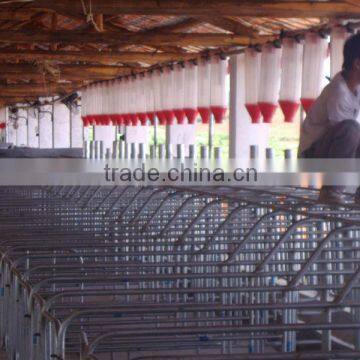 Automatic Pig Penning