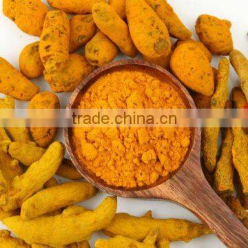 ISO Certified Turmeric From India