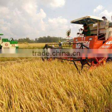 Vietnam Medium White Rice 5% Broken photo-3