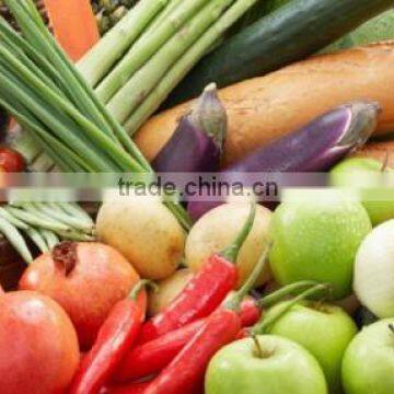 Fresh vegetables exporters