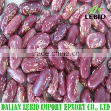 Black Purple Speckled Kidney Beans For Sale