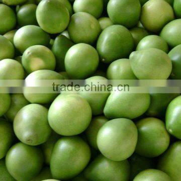 2012 New Sweet HONEY POMELO