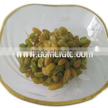 Top quality sun dried green raisin with seeds from xinjiang