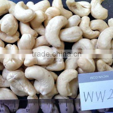 cashew nuts W240 Whatsapp +84984828200