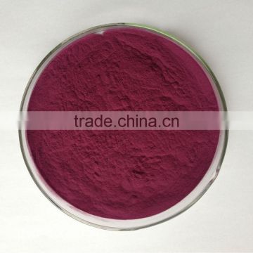 Cranberry Fruit Powder Extract Proanthocynidins 5--60% with anthocyanidins 5-25% UV