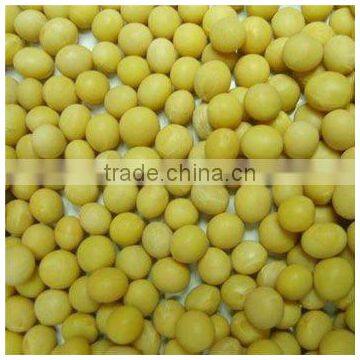 china organic soybean