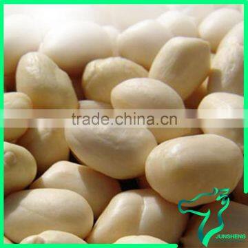 Shandong Peanut Raw Peanuts In Shell Peanut Seed For Sale