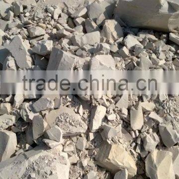 Diatomaceous Earth Powder photo-6