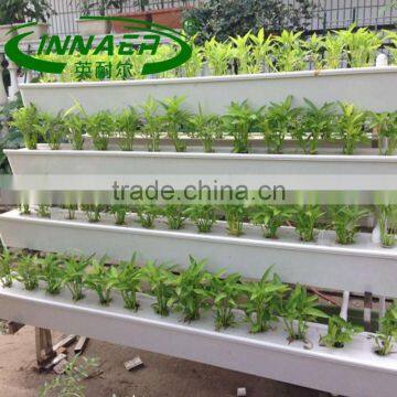 supply Plant growth trough for Agricultural greenhouse