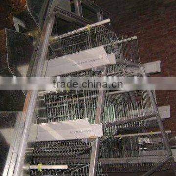 Bird Rearing Cage of double dipped galvanized