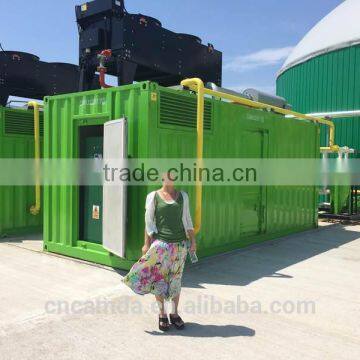 Incredible low price biogas generator set from manufacturer with CE certificate