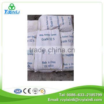 White Cement Tile Adhesive Paint photo-2