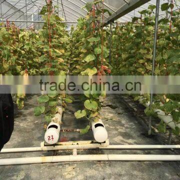 2016 Professional greenhouses industrial hydroponic system