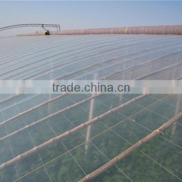 Hot selling Muti-span 200 micron greenhouse film