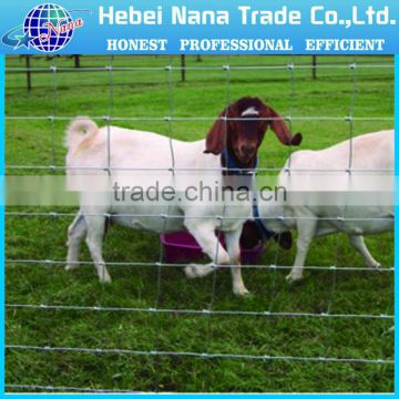 glavanized Goat wire fence hot sale in China