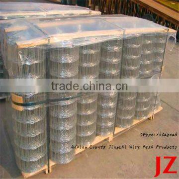 PVC Coated Welded Wire Mesh / stainless welded wire mesh