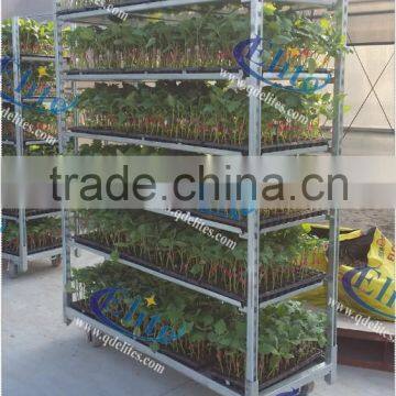 122 Seedling cart, Seedling Trolleys, Seedling rack