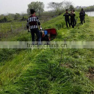 Multifunctional Mini Wheat Reaper Head photo-6
