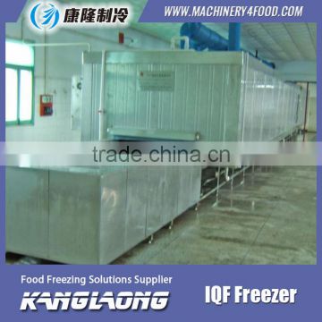 Large Output Tunnel Freezer Ice Cream With Good Price