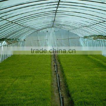 Modern Plastic Film Greenhouse With Steel Skeleton and Hot Drip Galvanized Bolt for Vegetable and Flower Grow for Hot Sale photo-2