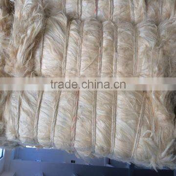 Gypsum Material 100% Rubber Fibre Natural Raw Bleached Textile uv ug Grade Sisal Fiber Price photo-4