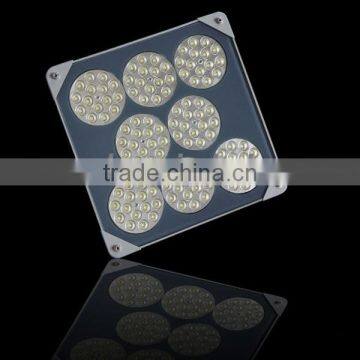 Thin square led gas canopy light