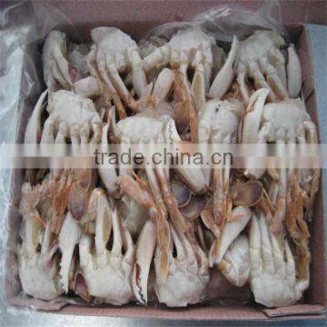 frozen best sea crabs