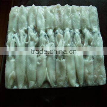 Frozen Baby Loligo Squid photo-3
