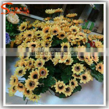 Not wither wholesale sunflower market Low price for sale