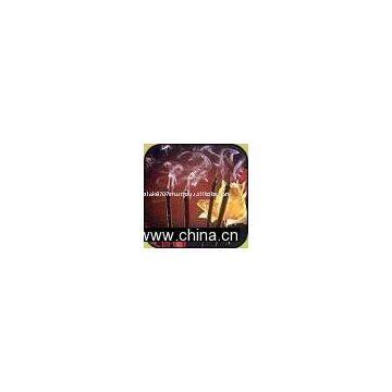 Incense Sticks