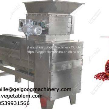 Pomegranate Peeling Machine Price|Seed Extracting Machinery|Peeler|Separating Equipment Low Price