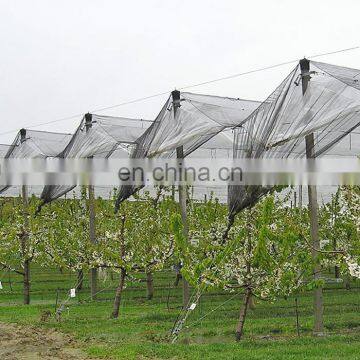 Agriculture Plastic Anti-Hail Nets With Anti Uv For Fruit And Vegetable