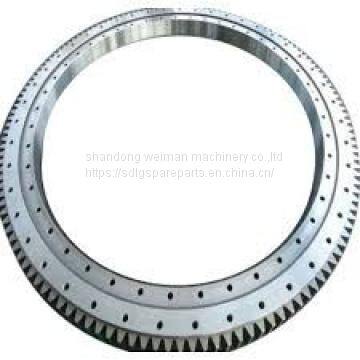 Slewing Bearing Crane