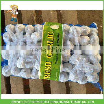 New Crop Cold Storage Pure White Garlic Price