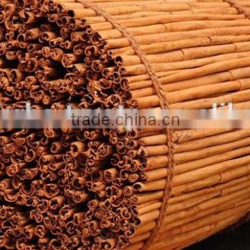 Premium Ceylon Cinnamon for Bulk Export