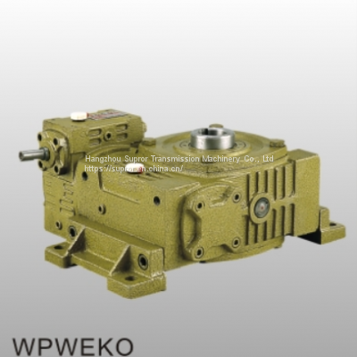 Worm Shaft Transmission Reducer Wps60 Wpa40 Worm Wheel Reduction Gearbox