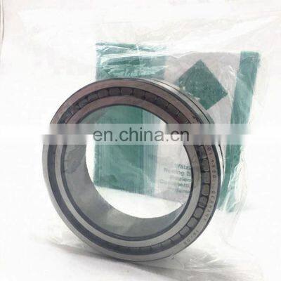 Double Row Full Complement Cylindrical Roller Bearing SL18 5006 SL185006