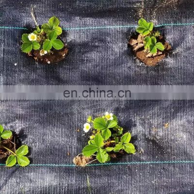 Garden Plastic Products Agricultural Farming Ground Cover Weed Barrier Landscape Fabric