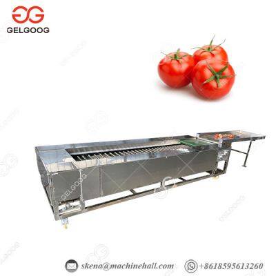 Citrus Fruit and Vegetable Sorting Machine Tomato Grading Machine Price