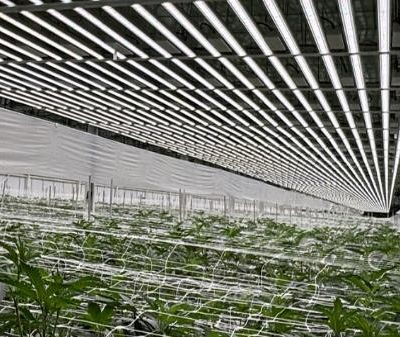 Indoor Growing-enhanced Efficacy Hassle-free Inter-locking Led Grow Module for Plant Indoor Growing photo-5