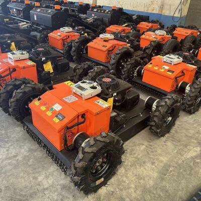 Grass Trimmer, China Robot Lawn Mower With Remote Control Price, Rechargeable Brush Cutter for Sale photo-3
