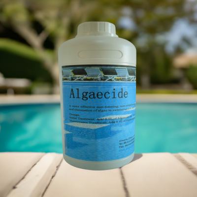 Non-Irritative Metal Free Polyquats Algaecide 60 Biocide Polixetonium Chloride Wscp for Swimming Pool CAS 31075-24-8