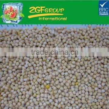 High Quality dried chick pea