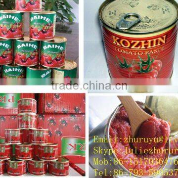 Seal 850g Canned Tomato Paste or Ketchup