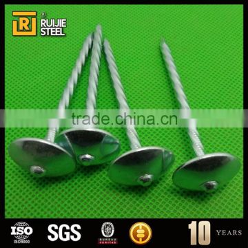 umbrella nail/large head nail with washer/Galvanized umbrella head roofing Nails