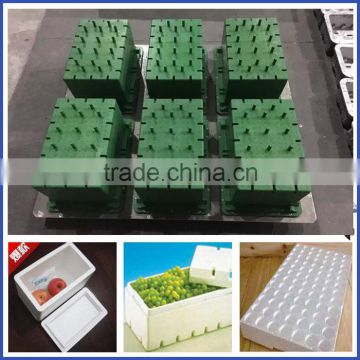 High quality 6061 Foam Box / Fruit Box / EPS Mould