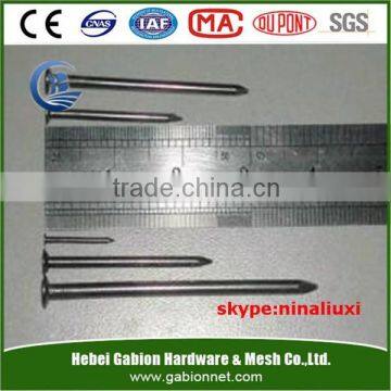 Common nails supplier 5" 6"