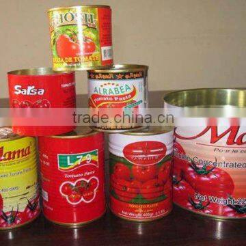 canned tomato paste/ketchup/puree/sauce/concentrate Factory offer OEM service