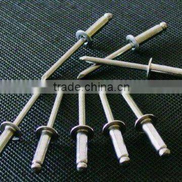 Stainless Steel Rivet/Metal Rivet/Blind Rivet